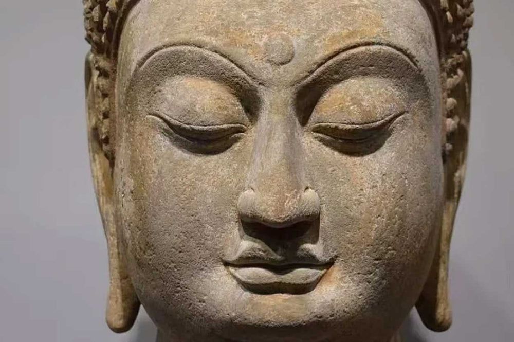 The Intriguing History of Tang Dynasty Buddha Head Statue