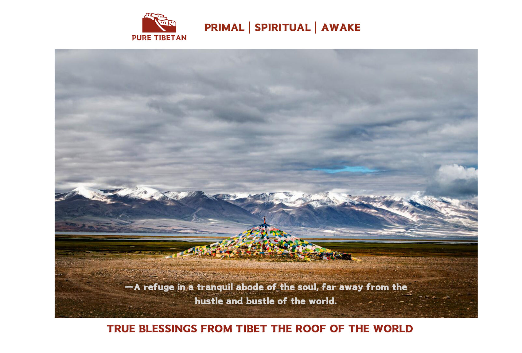 True Blessings from Tibet puretibetan