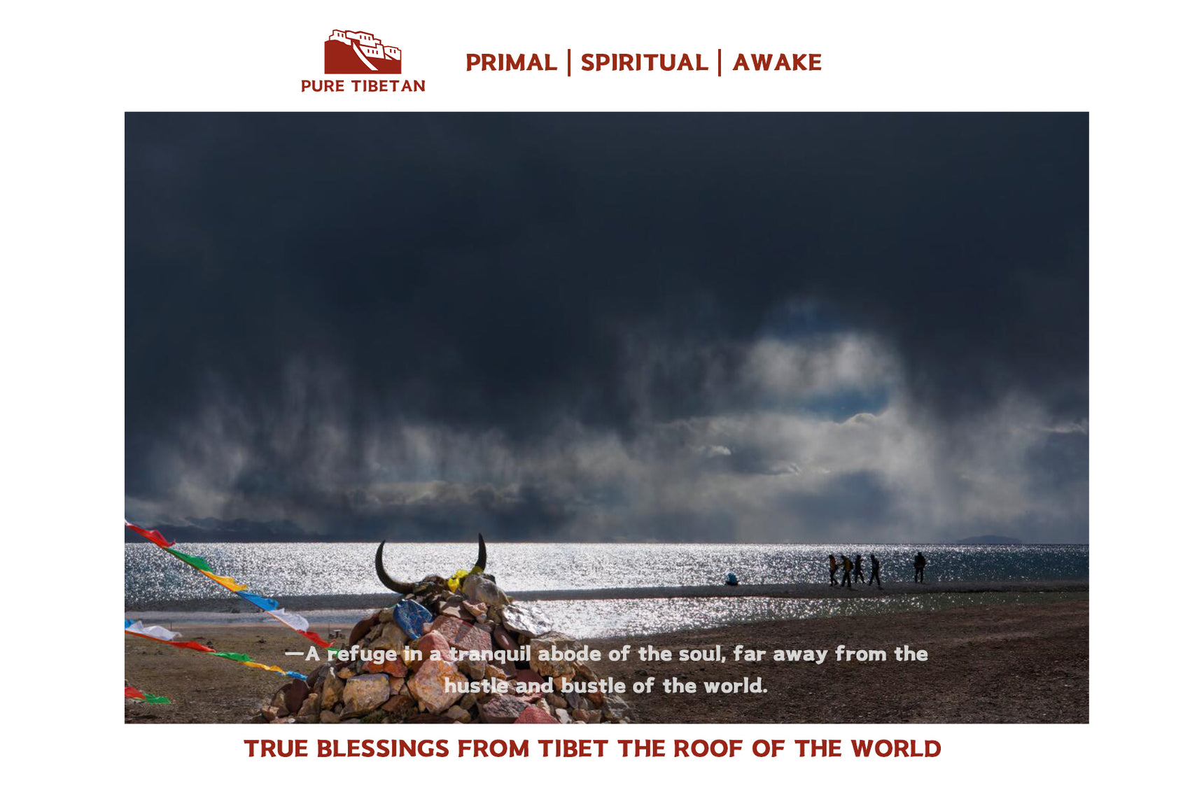 True Blessings from Tibet puretibetan